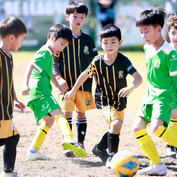 足球心理學入門：打造強大的心態與賽場專注力