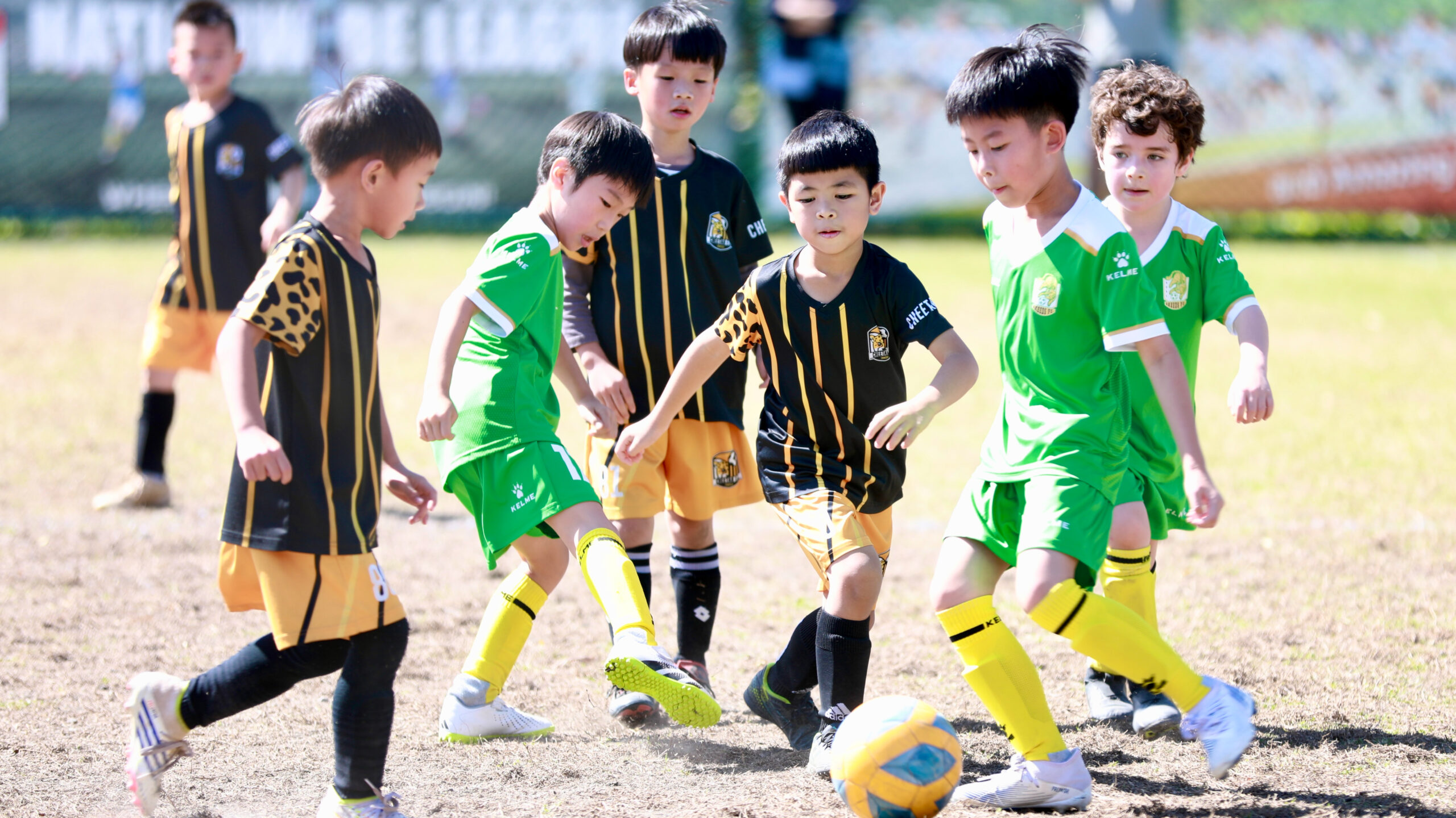 足球心理學入門：打造強大的心態與賽場專注力